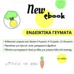 New E-Book ΕΝΔΕΙΚΤΙΚΑ ΓΕΥΜΑΤΑ BLW